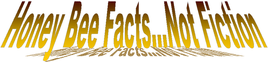 Honey Bee Facts...Not Fiction